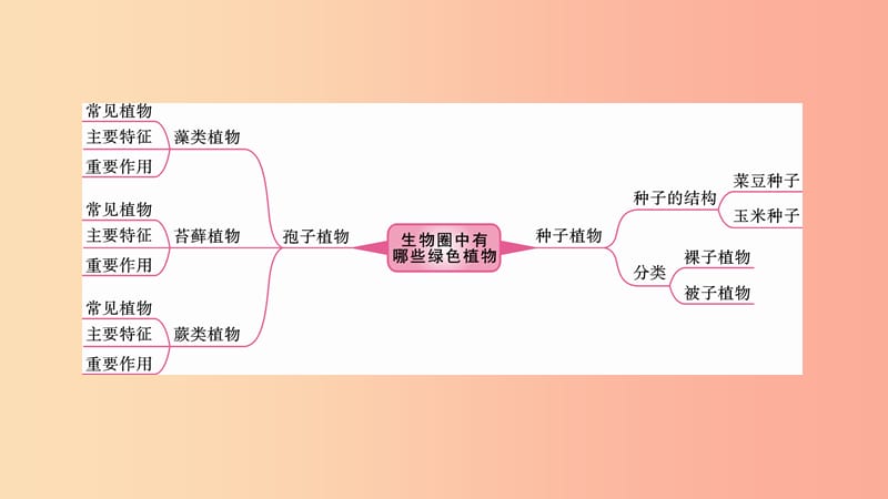 2019中考生物总复习第一部分基醇点巩固第三单元生物圈中的绿色植物第一章生物圈中有哪些绿色植物课件.ppt_第2页