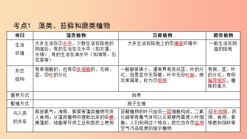 2019中考生物总复习第一部分基醇点巩固第三单元生物圈中的绿色植物第一章生物圈中有哪些绿色植物课件.ppt_第3页