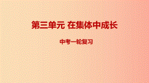 2019年中考道德與法治一輪復(fù)習(xí) 七下 第3單元 在集體中成長(zhǎng)課件 新人教版.ppt