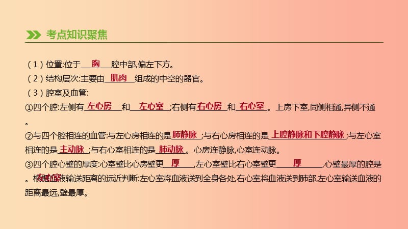 2019年中考生物 专题复习四 生物圈中的人 第15课时 心脏与血液循环课件 新人教版.ppt_第3页