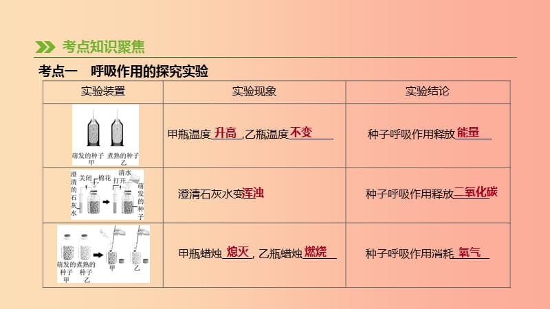 2019年中考生物 专题复习三 生物圈中的绿色植物 第10课时 绿色植物的呼吸作用课件 新人教版.ppt_第2页