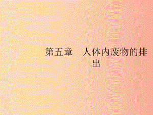 2019年春七年級(jí)生物下冊(cè) 第五章 人體內(nèi)廢物的排出課件 新人教版.ppt