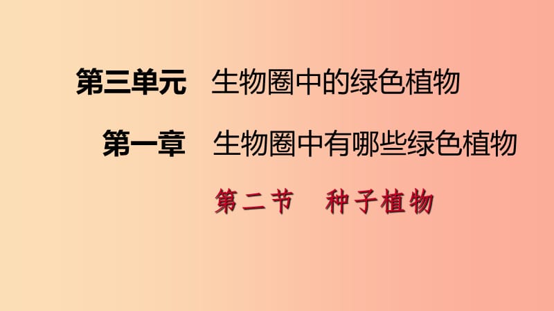 2019年七年级生物上册第三单元第一章第二节种子植物第2课时裸子植物和被子植物课件 新人教版.ppt_第1页