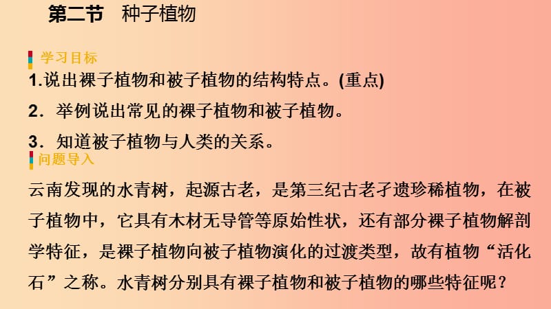 2019年七年级生物上册第三单元第一章第二节种子植物第2课时裸子植物和被子植物课件 新人教版.ppt_第3页