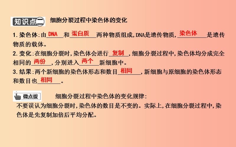 2019年七年级生物上册2.2.1细胞通过分裂产生新细胞复习课件 新人教版.ppt_第3页