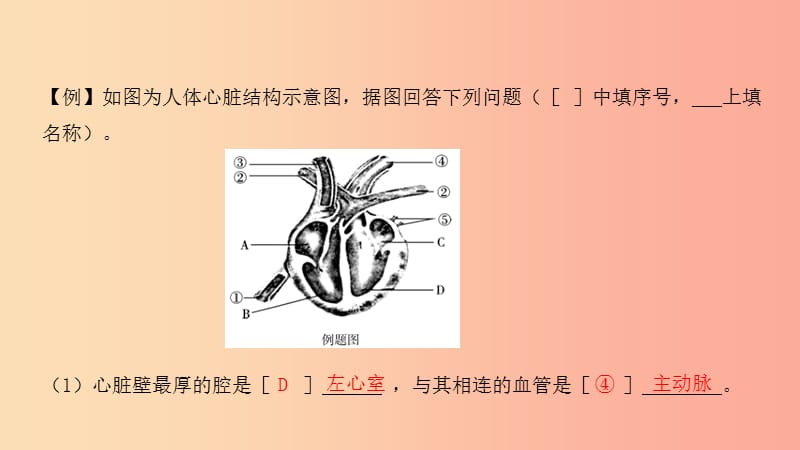 2019中考生物总复习 第二部分 重点题型探究 题型二 识图题 第五类 血液课件.ppt_第3页