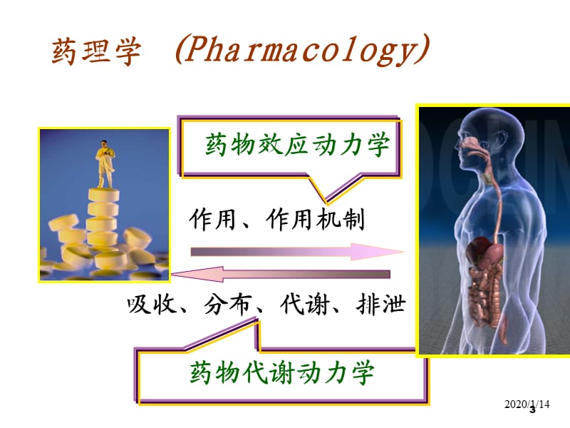 药理学药效学ppt课件_第3页