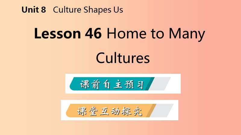 2019-2020学年九年级英语下册 Unit 8 Culture Shapes Us Lesson 46 Home to Many Cultures课件 冀教版.ppt_第2页