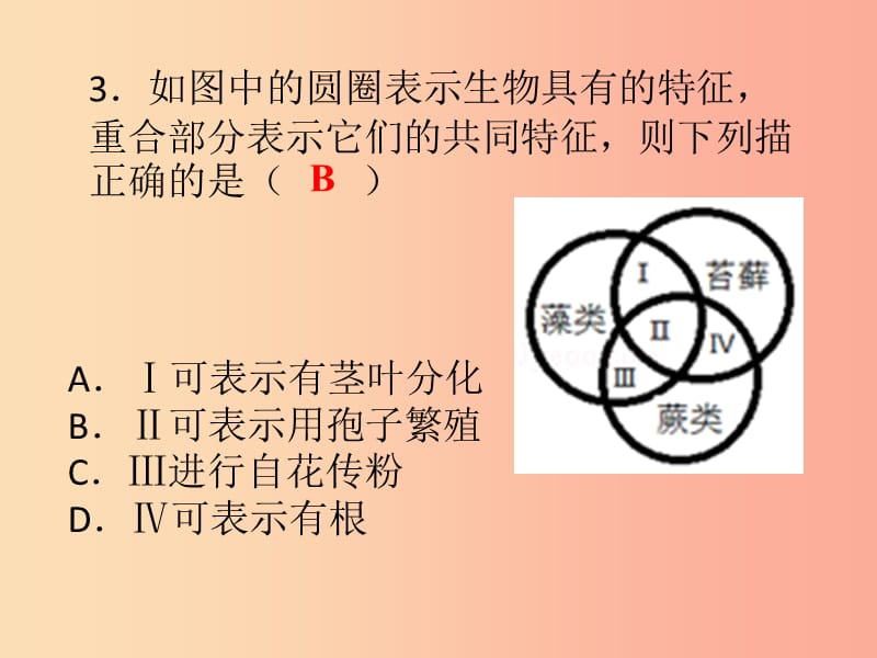 2019年七年级生物上册 第三单元 第一章 第二章 被子植物的一生课件 新人教版.ppt_第3页