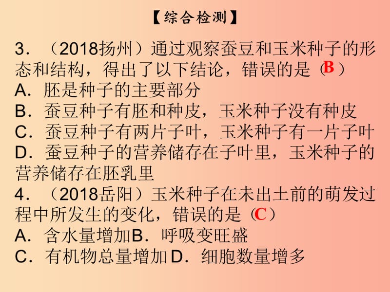 2019年七年级生物上册第3单元第6章绿色开花植物的生活史综合检测(课件（新版）北师大版.ppt_第3页