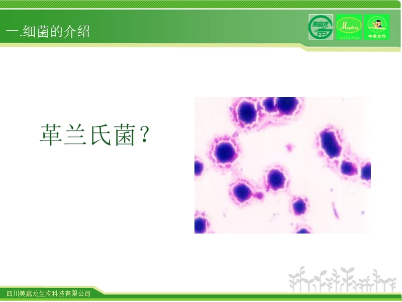 药理学基本知识ppt课件_第3页