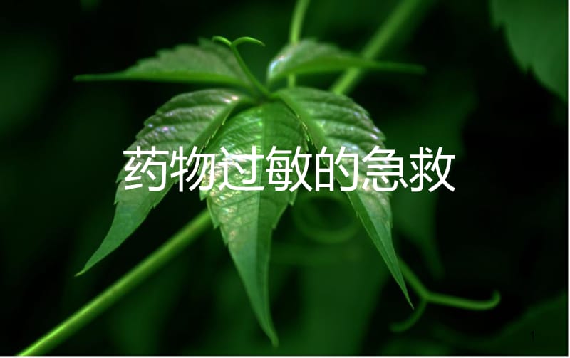 药物过敏的急救ppt课件_第1页