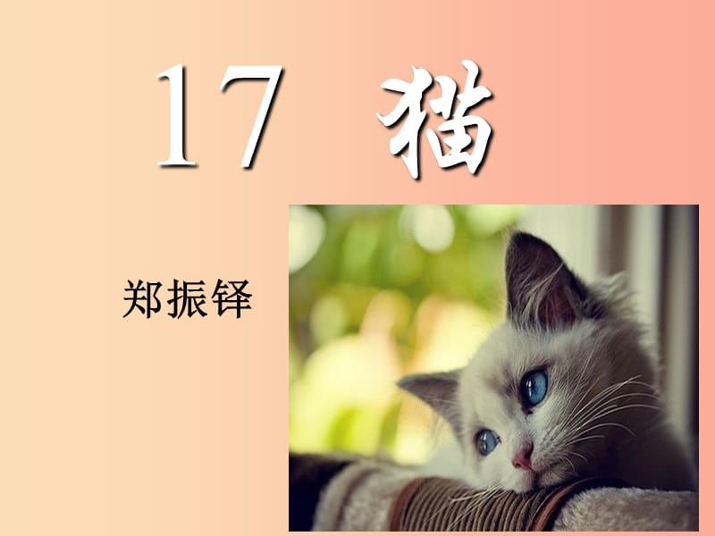 2019年秋七年级语文上册 第五单元 16 猫教学课件 新人教版.ppt_第1页