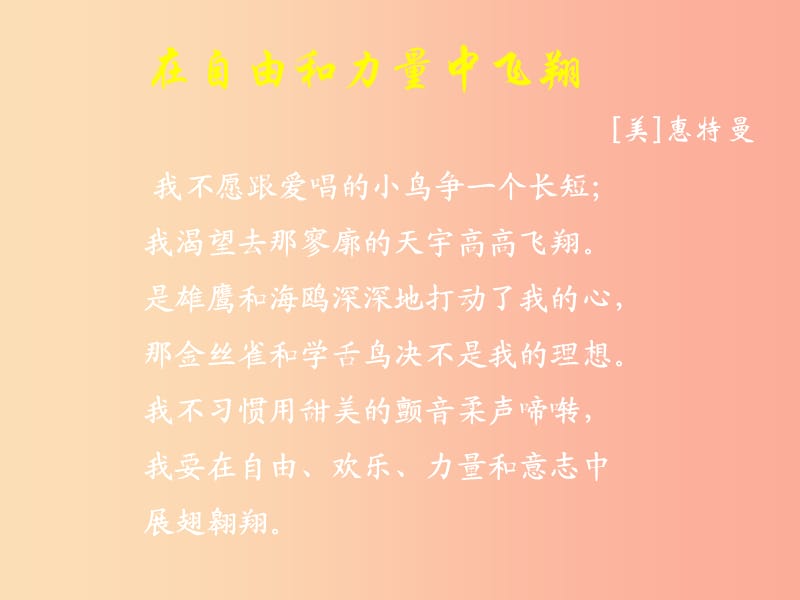 2019年七年级语文上册第六单元第25课在自由和力量中飞翔课件4沪教版五四制.ppt_第3页