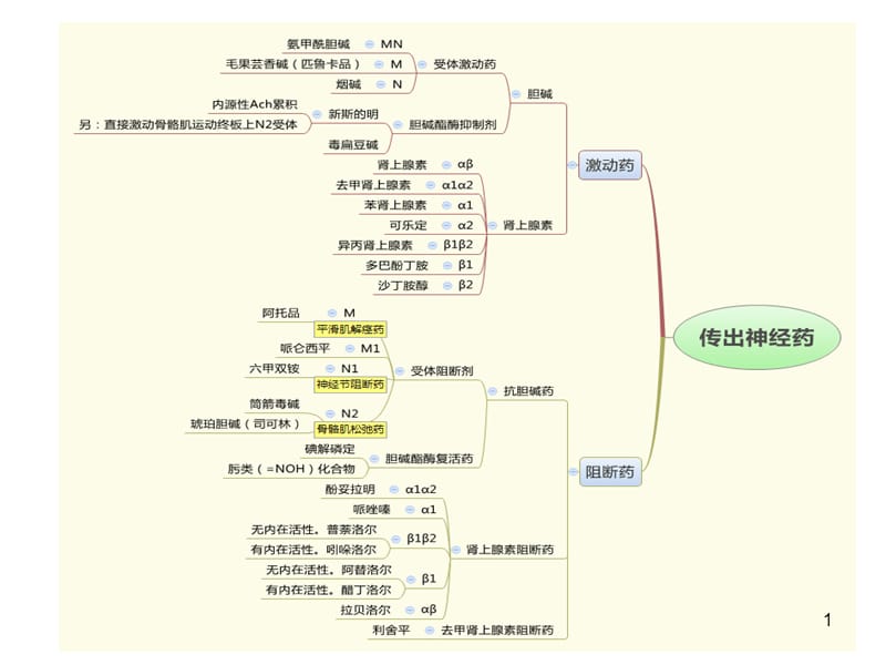 药理学思维导图ppt课件_第1页