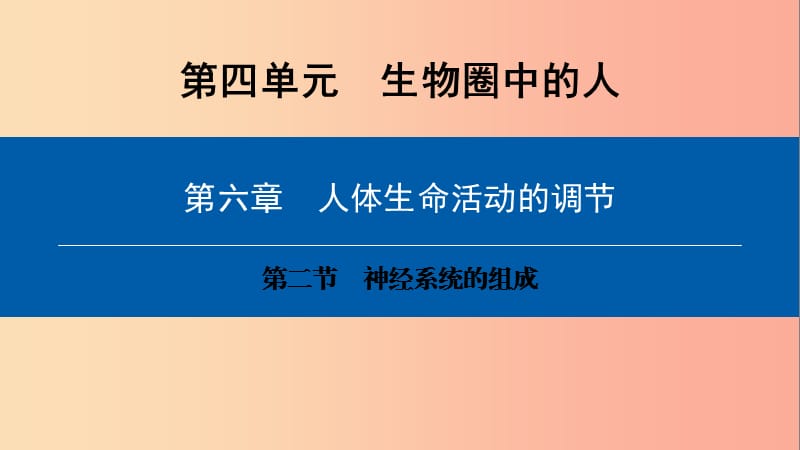 2019年七年级生物下册 第四单元 第六章 第二节 神经系统的组成课件 新人教版.ppt_第1页