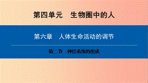 2019年七年級(jí)生物下冊(cè) 第四單元 第六章 第二節(jié) 神經(jīng)系統(tǒng)的組成課件 新人教版.ppt