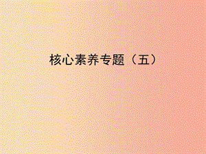 2019屆中考數(shù)學(xué)復(fù)習(xí) 核心素養(yǎng)專題（五）課件.ppt