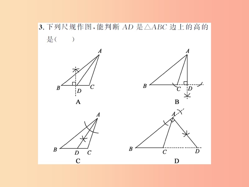 2019届中考数学总复习 第四章 图形的初步认识与三角形 第二节 三角形的基础知识课件.ppt_第3页