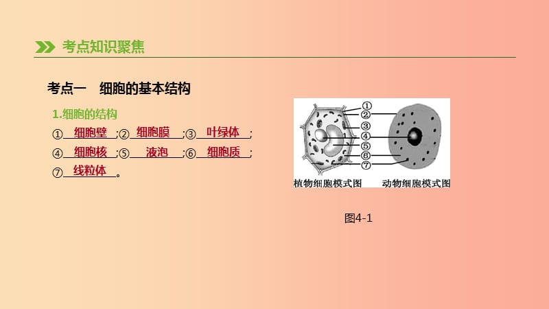 2019年中考生物 专题复习二 生物体的结构层次 第04课时 细胞的结构和生活课件 新人教版.ppt_第2页