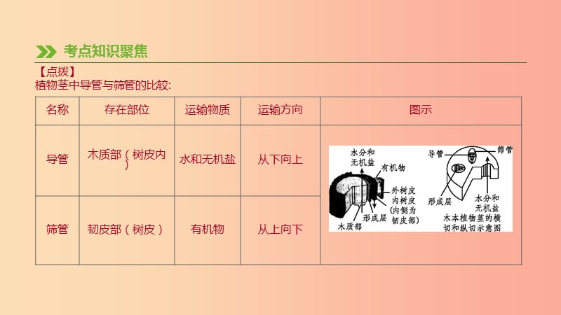 2019年中考生物专题复习三生物圈中的绿色植物第08课时绿色植物与生物圈的水循环课件新人教版.ppt_第3页