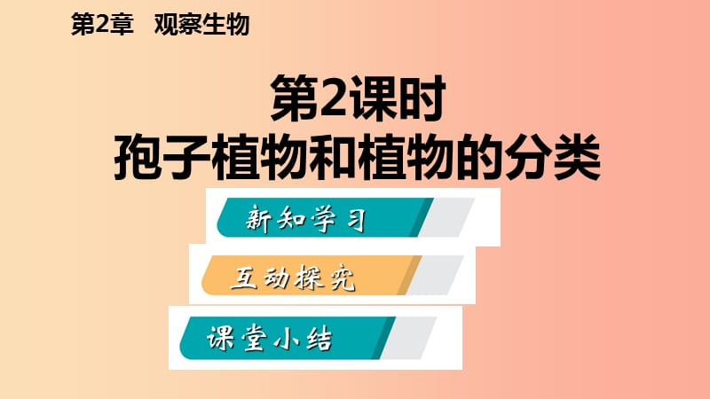 2019年秋七年级科学上册 第2章 观察生物 第5节 常见的植物 2.5.2 孢子植物和植物的分类导学课件 浙教版.ppt_第2页