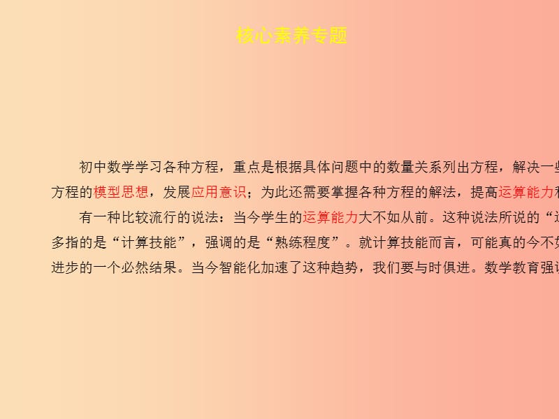 2019届中考数学复习核心素养专题二课件.ppt_第2页