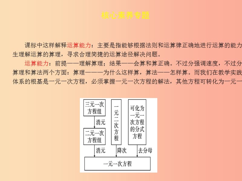 2019届中考数学复习核心素养专题二课件.ppt_第3页