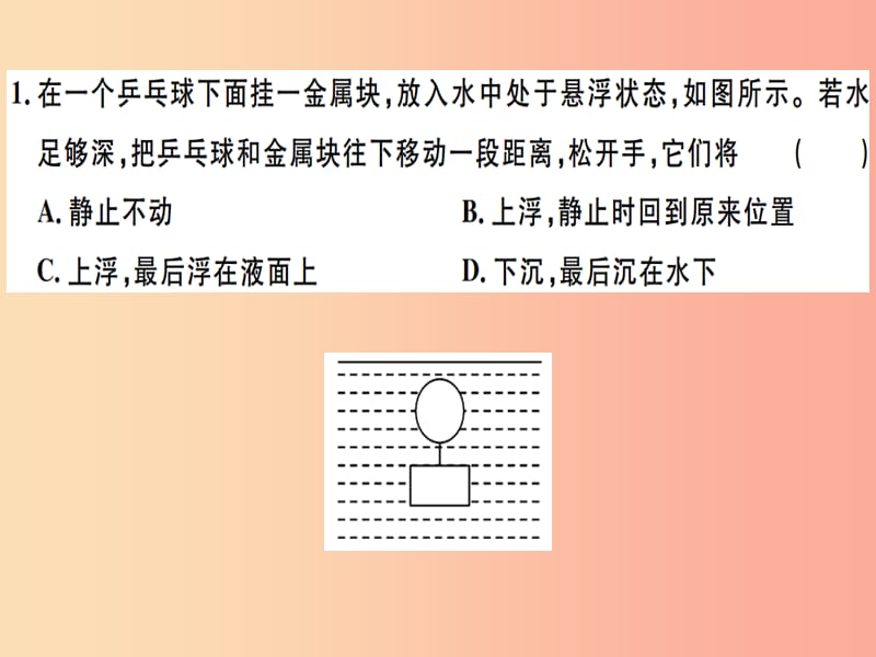 2019八年级物理下册 第十章 第3节 物体的浮沉条件及应用习题课件 新人教版.ppt_第1页