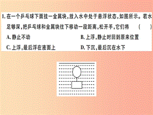 2019八年級(jí)物理下冊(cè) 第十章 第3節(jié) 物體的浮沉條件及應(yīng)用習(xí)題課件 新人教版.ppt