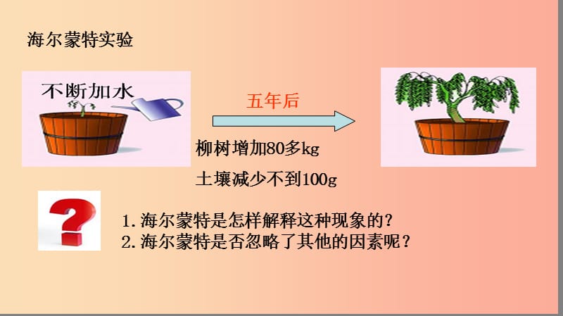 2019年七年级生物上册 3.5.1《光合作用吸收二氧化碳释放氧气》课件1 新人教版.ppt_第3页