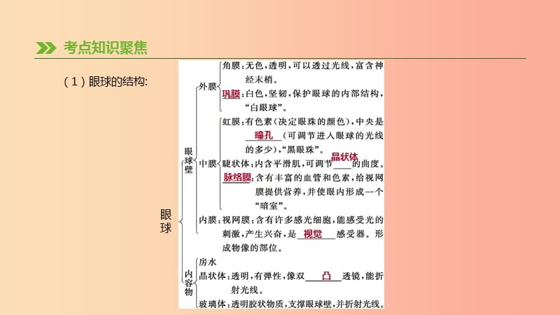 2019年中考生物 专题复习四 生物圈中的人 第17课时 人体对外界环境的感知课件 新人教版.ppt_第3页