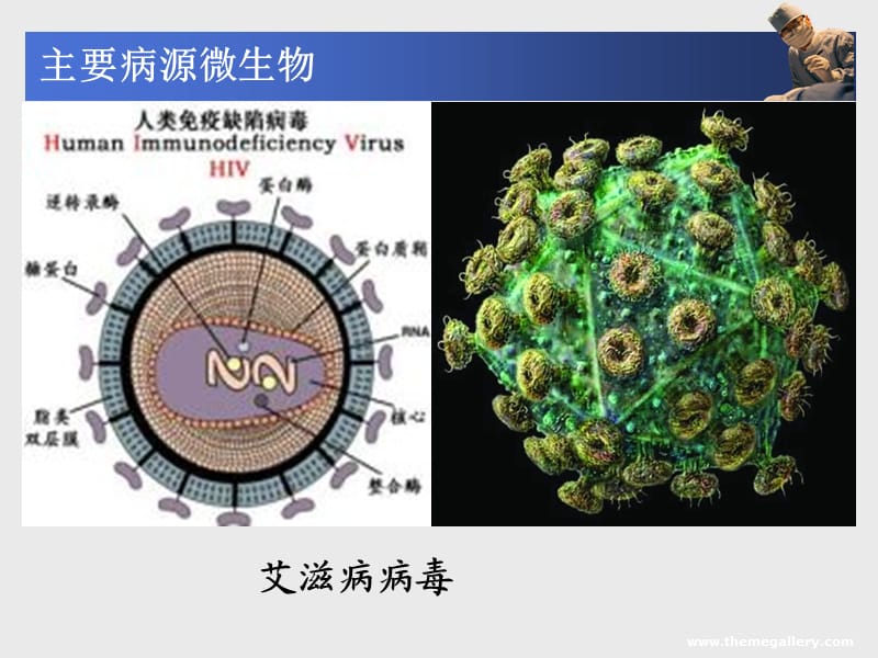 药理学抗菌药全ppt课件_第3页