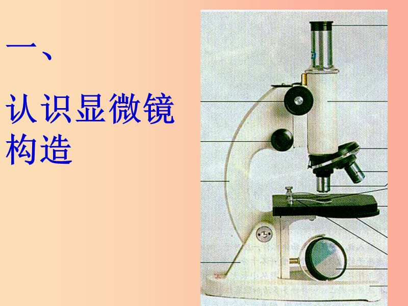 2019年七年级生物上册 2.1.1《练习使用显微镜》课件2 新人教版.ppt_第3页