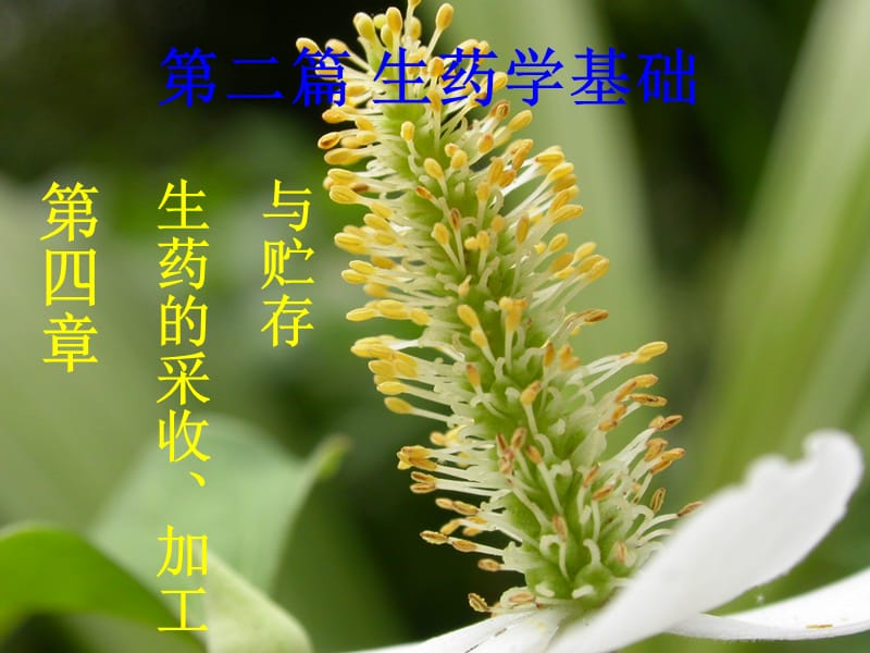 药用植物学与生药学ppt课件_第1页