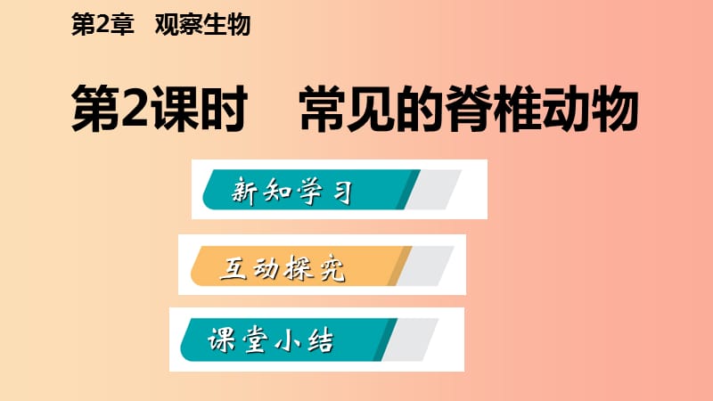 2019年秋七年级科学上册 第2章 观察生物 2.4 常见的动物 第2课时 常见的脊椎动物导学课件（新版）浙教版.ppt_第2页