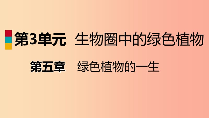 2019年七年级生物上册 第三单元 第五章 第五节 植物的开花和结果（第2课时 果实的形成和结构）课件 苏教版.ppt_第1页