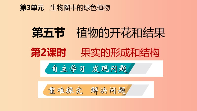 2019年七年级生物上册 第三单元 第五章 第五节 植物的开花和结果（第2课时 果实的形成和结构）课件 苏教版.ppt_第2页