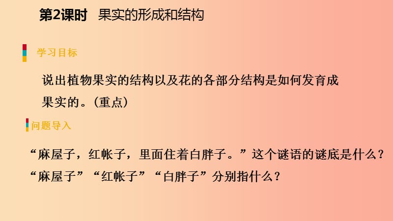 2019年七年级生物上册 第三单元 第五章 第五节 植物的开花和结果（第2课时 果实的形成和结构）课件 苏教版.ppt_第3页