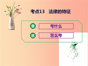 2019中考道德與法治二輪復(fù)習(xí) 考點13 法律的特征課件.ppt