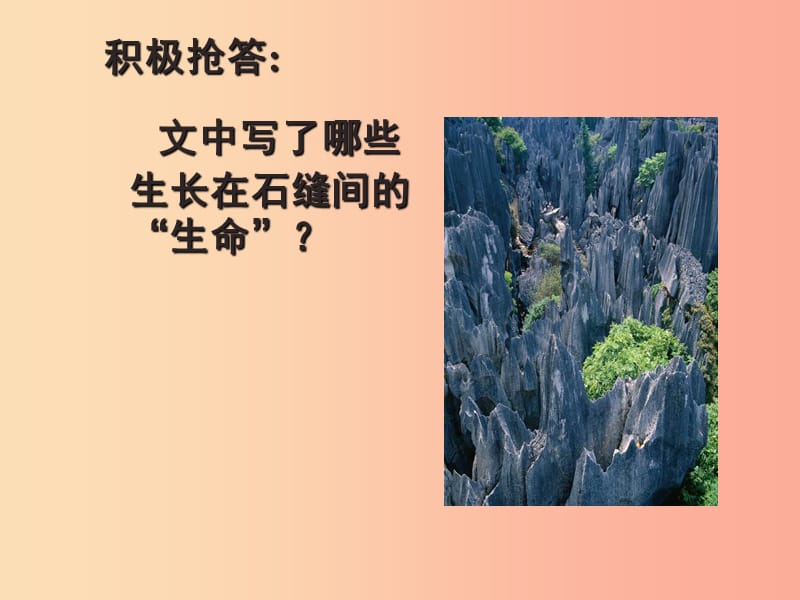 2019年八年级语文上册 第二单元 第7课《石缝间的生命》课件6 沪教版五四制.ppt_第3页