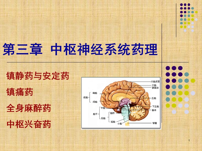 药理学第三章中枢神经系统药理ppt课件_第1页