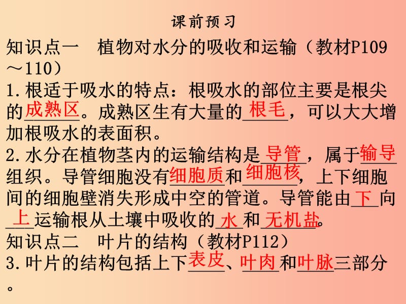 2019年七年级生物上册 第三单元 第三章 绿色植物与生物圈的水循环课件 新人教版.ppt_第3页