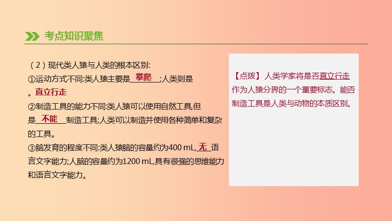 2019年中考生物 专题复习四 生物圈中的人 第11课时 人的由来课件 新人教版.ppt_第3页