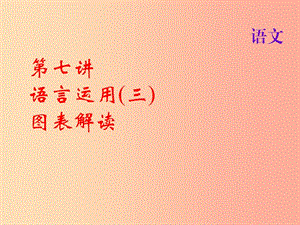 2019屆中考語文名師復(fù)習(xí) 第七講 語言運(yùn)用（三）圖表解讀課件.ppt