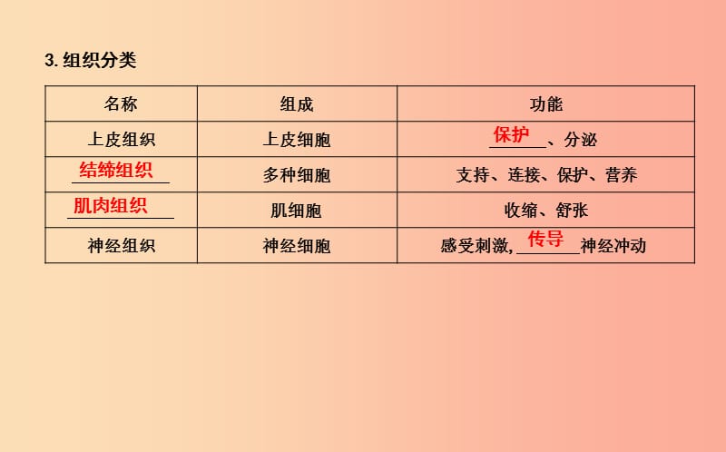 2019年七年级生物上册2.2.2动物体的结构层次复习课件 新人教版.ppt_第2页