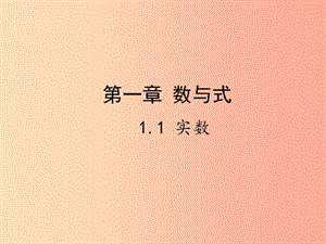 2019屆中考數(shù)學(xué)復(fù)習(xí) 第一章 數(shù)與式 1.1 實數(shù)課件.ppt