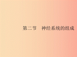 2019年春七年級生物下冊 第六章 人體生命活動的調(diào)節(jié) 第二節(jié) 神經(jīng)系統(tǒng)的組成課件 新人教版.ppt