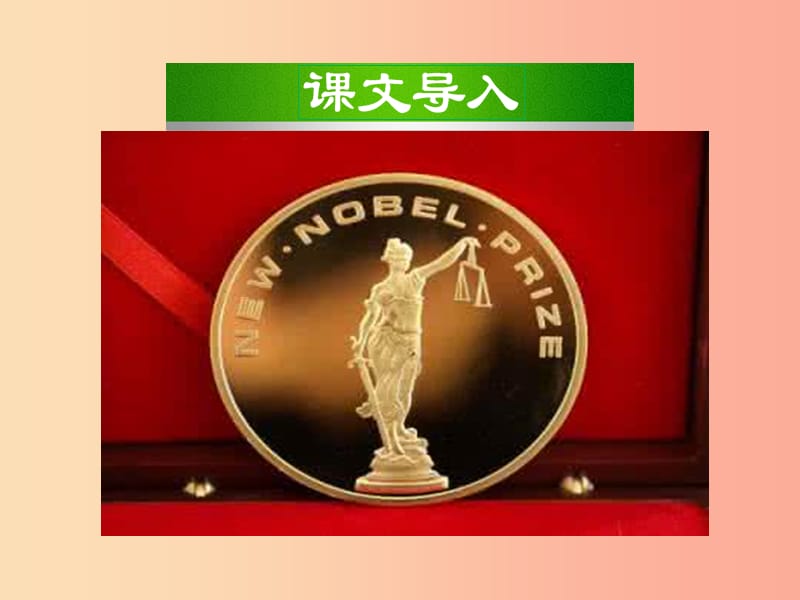 2019年八年级语文上册 第一单元 2 首届诺贝尔奖颁发教学课件 新人教版.ppt_第2页