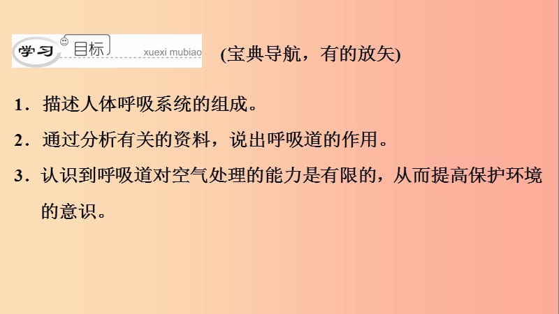 2019年七年级生物下册 第四单元 第三章 第一节 呼吸道对空气的处理课件 新人教版.ppt_第3页